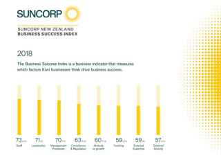 image of the 2018 suncorp new zealand business success index