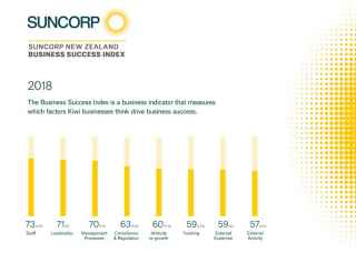image of the 2018 suncorp new zealand business success index